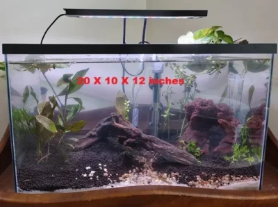 10 gallon guppy tank