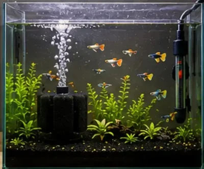 running guppy tank filter