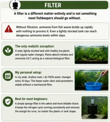 can guppies live without a filter