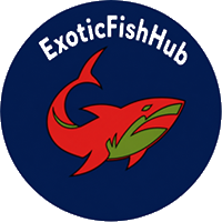 Exotic Fish Hub
